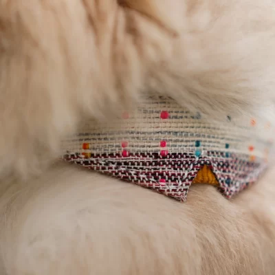 IndieGood Handloom Collar for Cats & Puppies