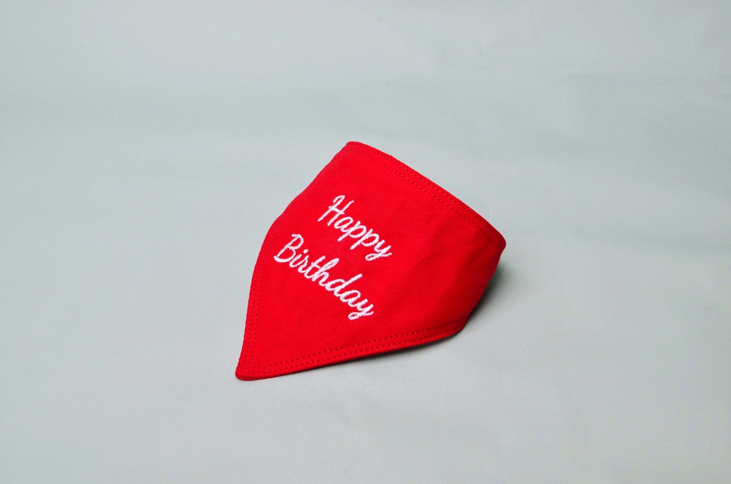 DIY-Birthday-Kit_4
