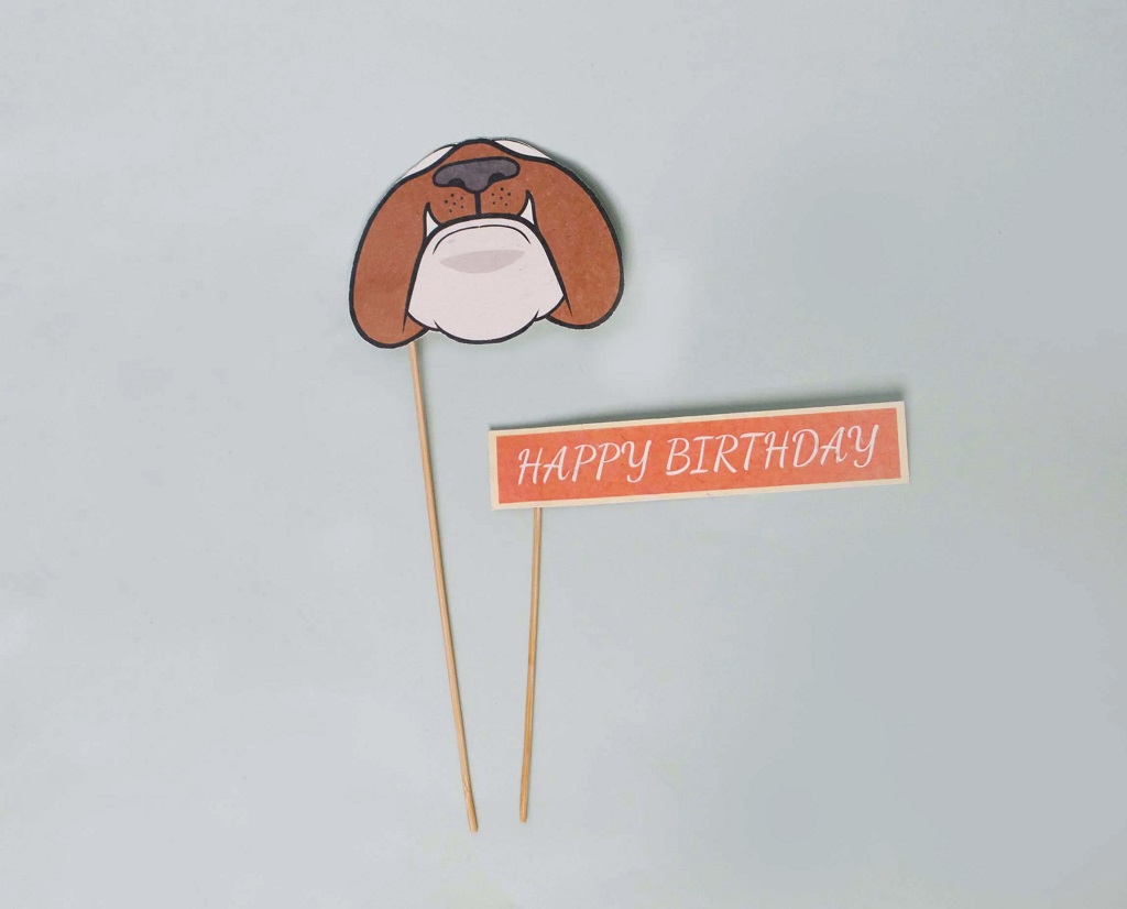 DIY-Birthday-Kit_6
