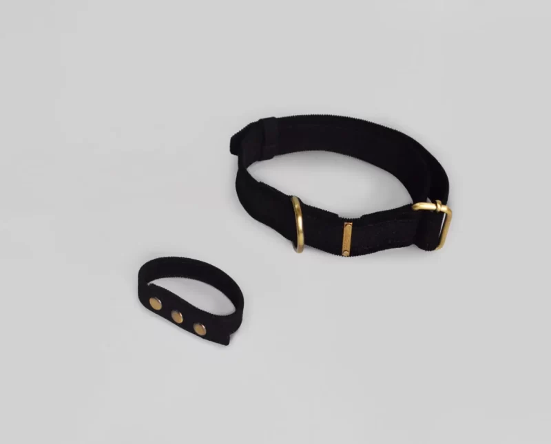 Dog Collar with Bond Band-2