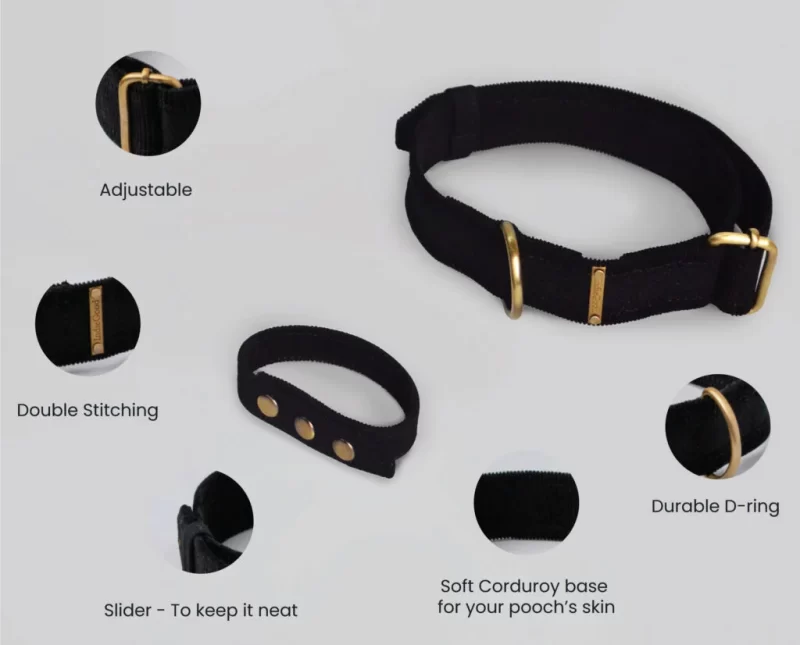 Dog Collar with Bond Band-5