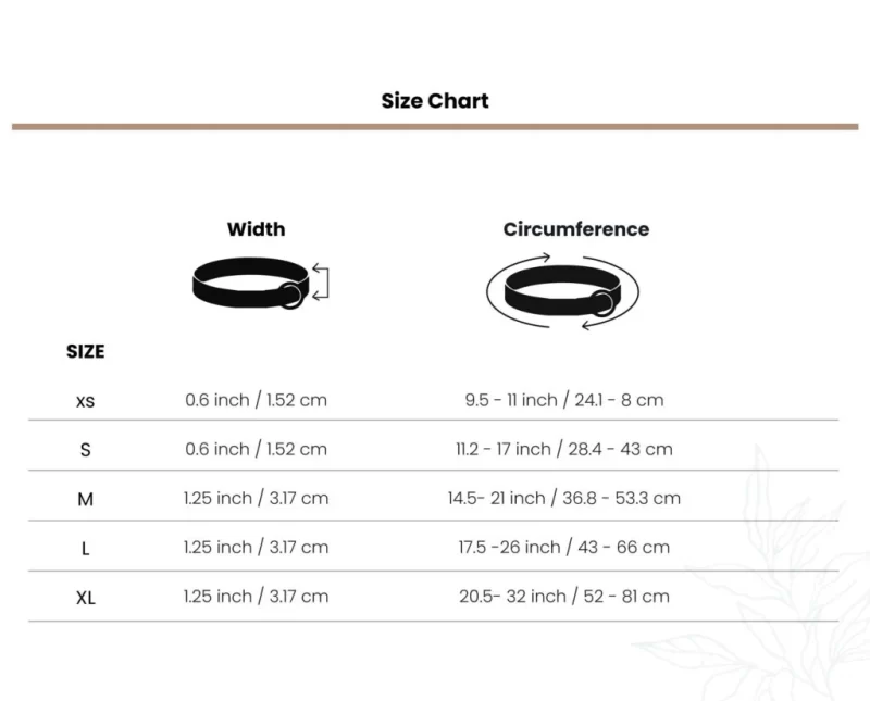 Dog Collar with Bond Band-7