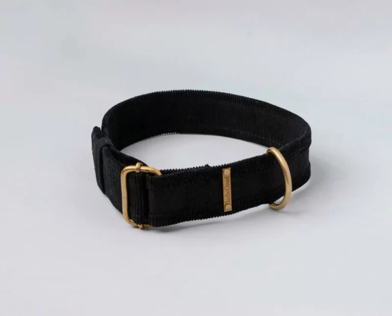 Dog Collar with Bond Band