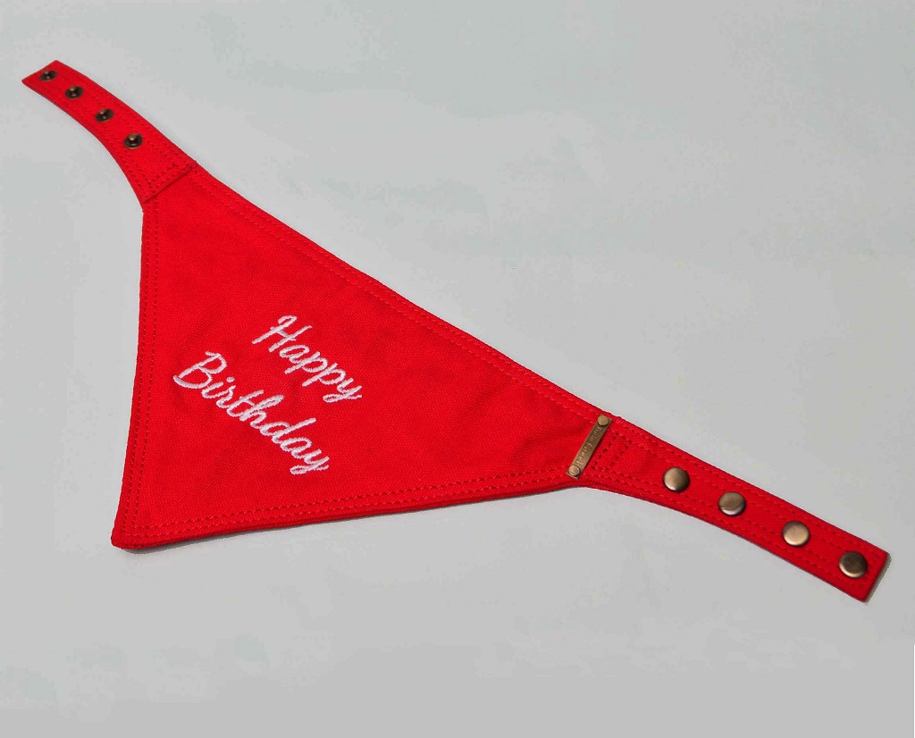 IndieGood-Celebrations-Cotton-Canvas-Happy-Birthday-Bandana-Red-_2