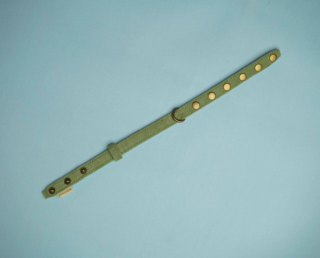 IndieGood Coral Collar For Cats – Aqua Green 3