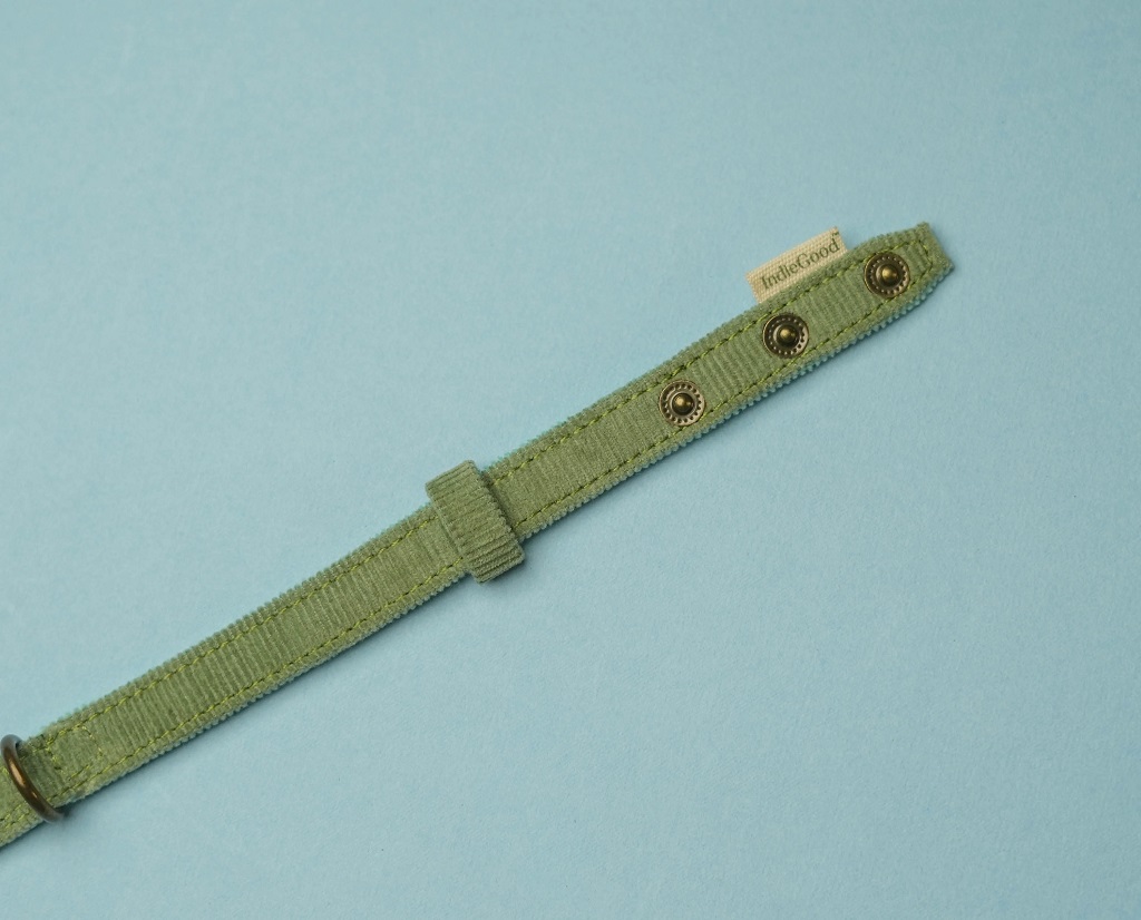 IndieGood Coral Collar For Cats – Aqua Green 4