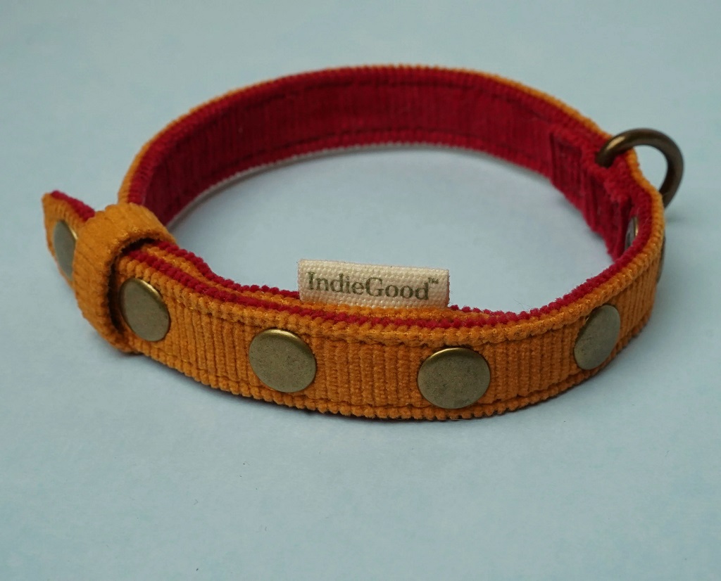 IndieGood Coral Collar For Cats – Beach Bloom 1
