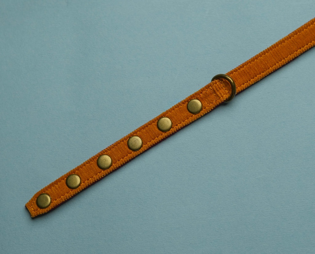 IndieGood Coral Collar For Cats – Beach Bloom 5