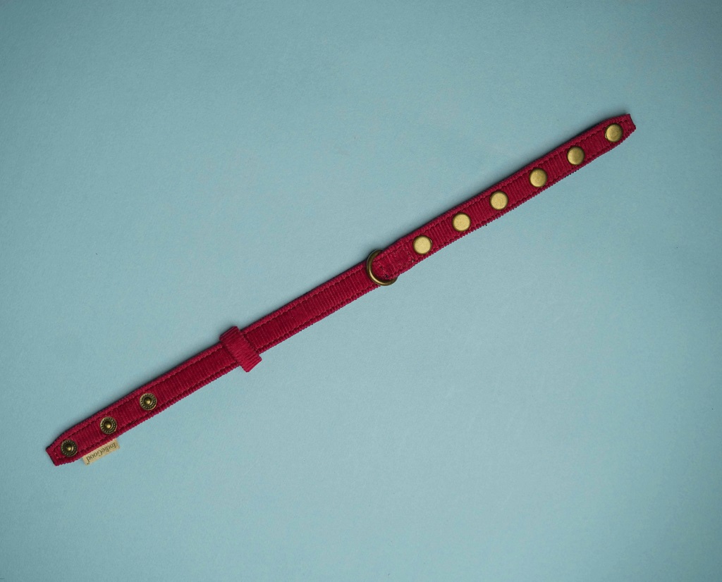 IndieGood Coral Collar For Cats – Marine Red4