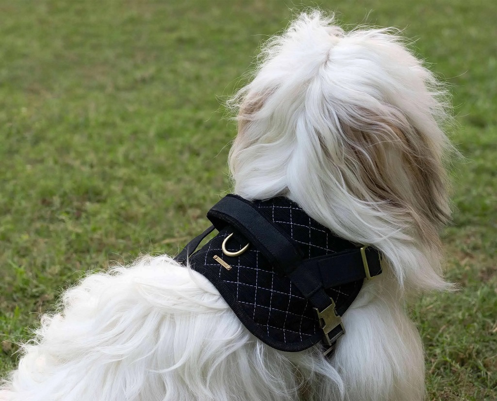 IndieGood-Corduroy-and-Canvas-Harness-for-Dog-Basic-Black_1