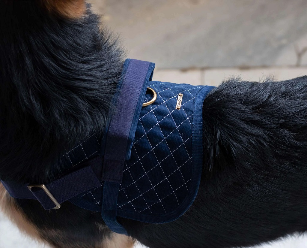 IndieGood-Corduroy-and-Canvas-Harness-for-Dog-Basic-Black_3-1