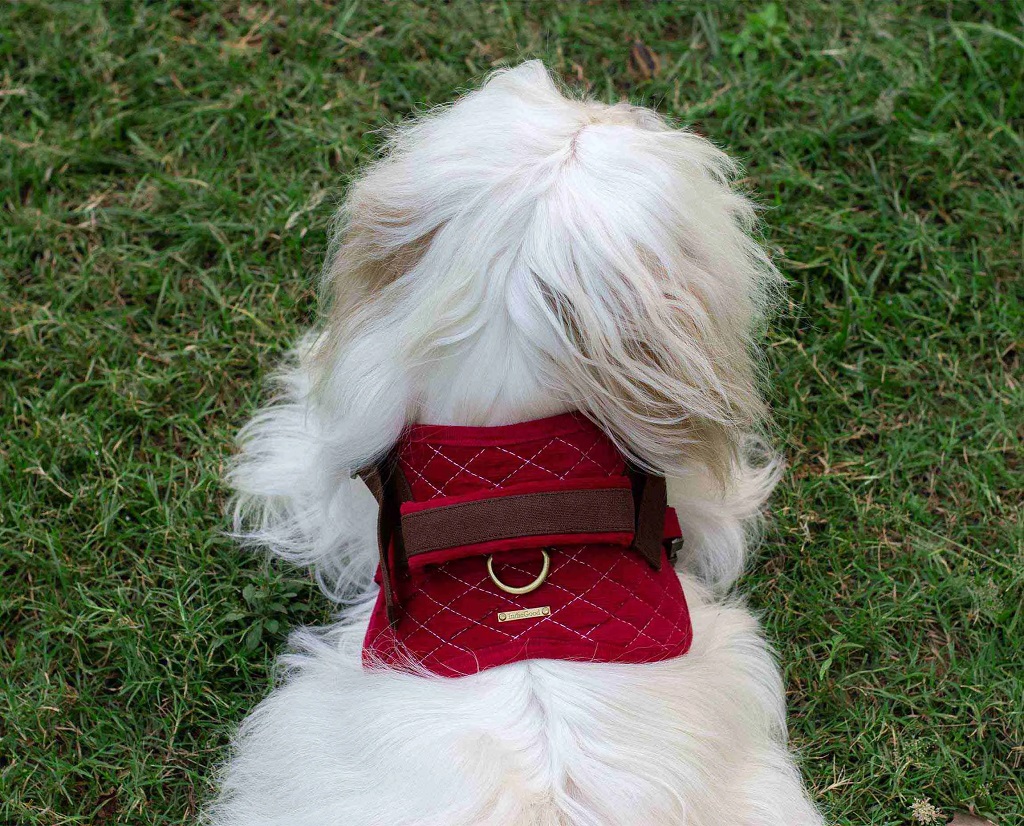 IndieGood-Corduroy-and-Canvas-Harness-for-Dog-Bright-Pink_2