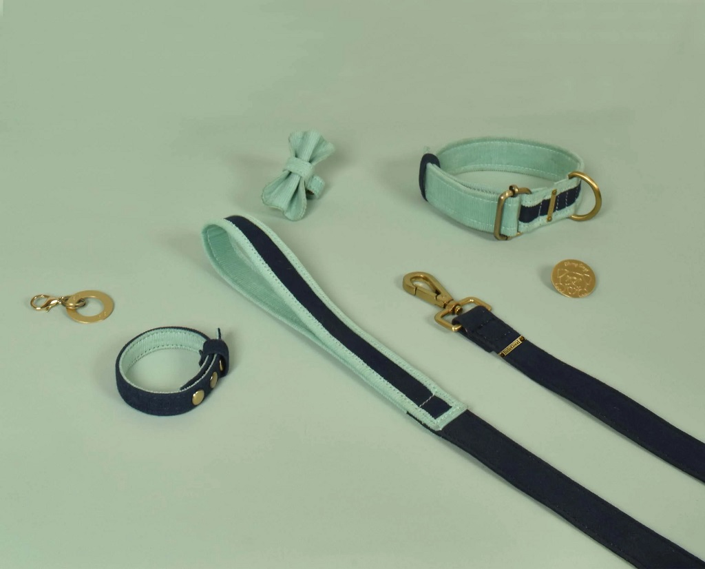 IndieGood-Curated-Gifting-Kit-A-Complete-Dog-Set-Blue_2