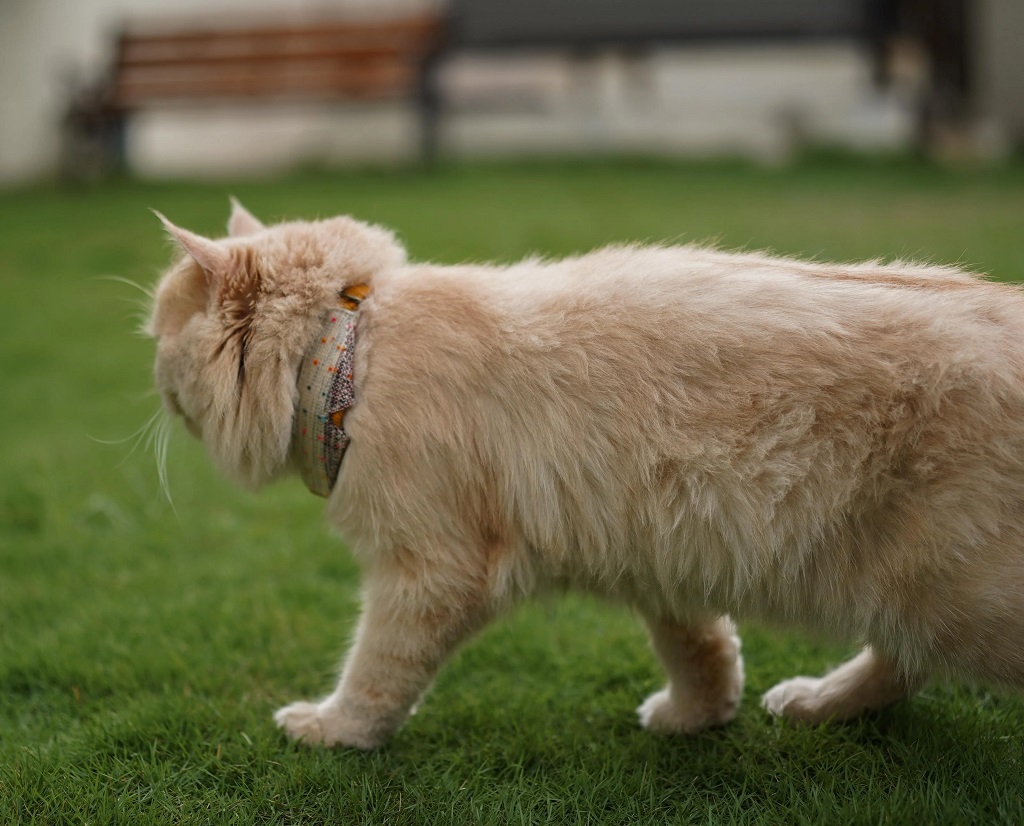 IndieGood Handloom Collar For Cats – Beach Brown 1