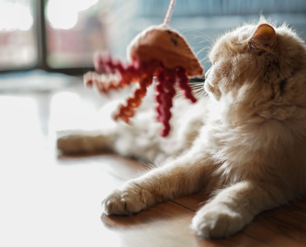 IndieGood Jellyfish Wandtoy for Cats_02