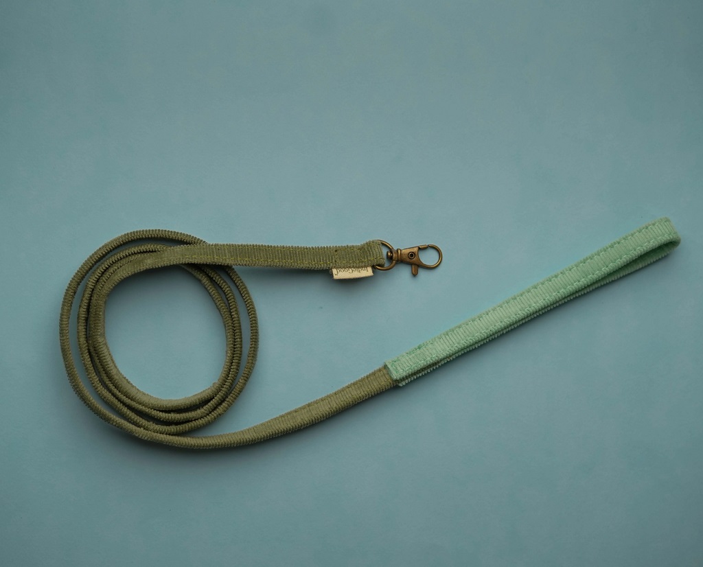 IndieGood Leash For Cats – Aqua Green_01