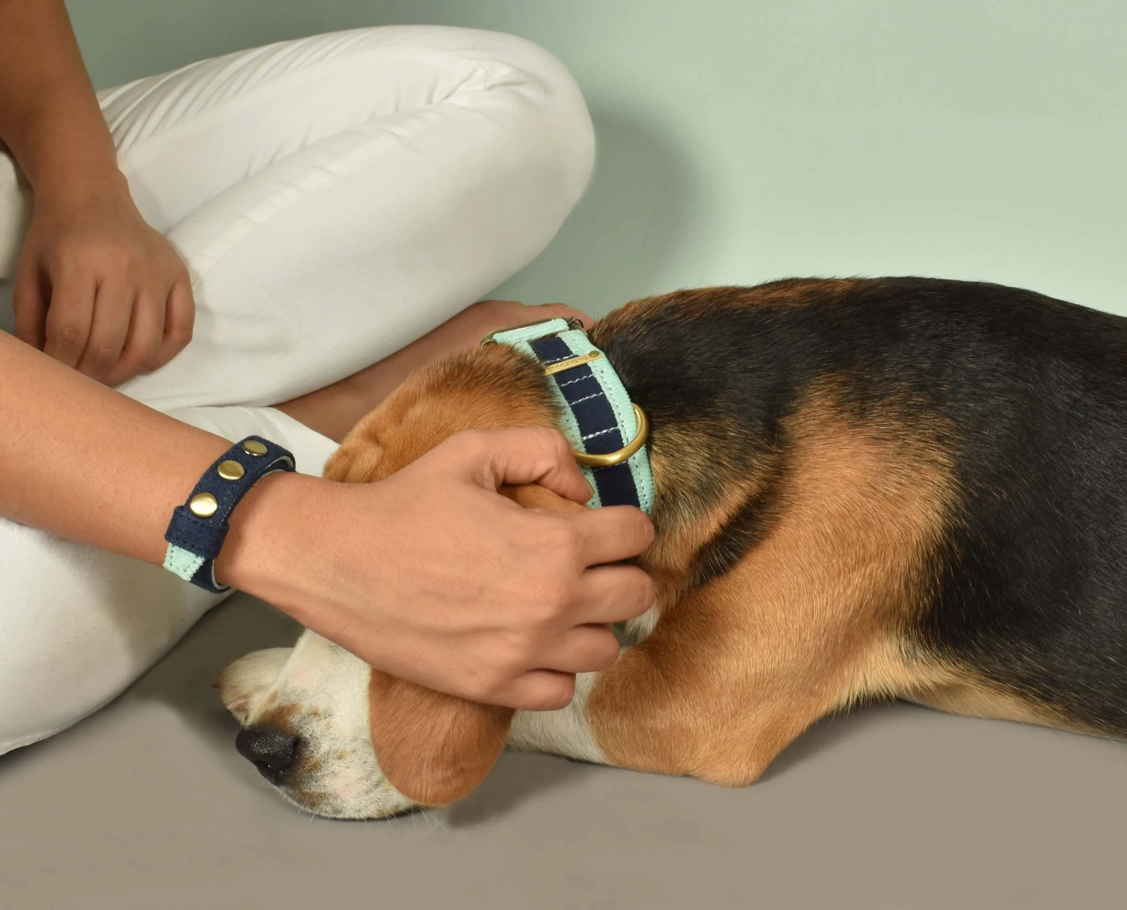 IndieGood-Matching-Set-Corduroy-Dog-Collar-with-Bond-Band-For-Human-Blue_1