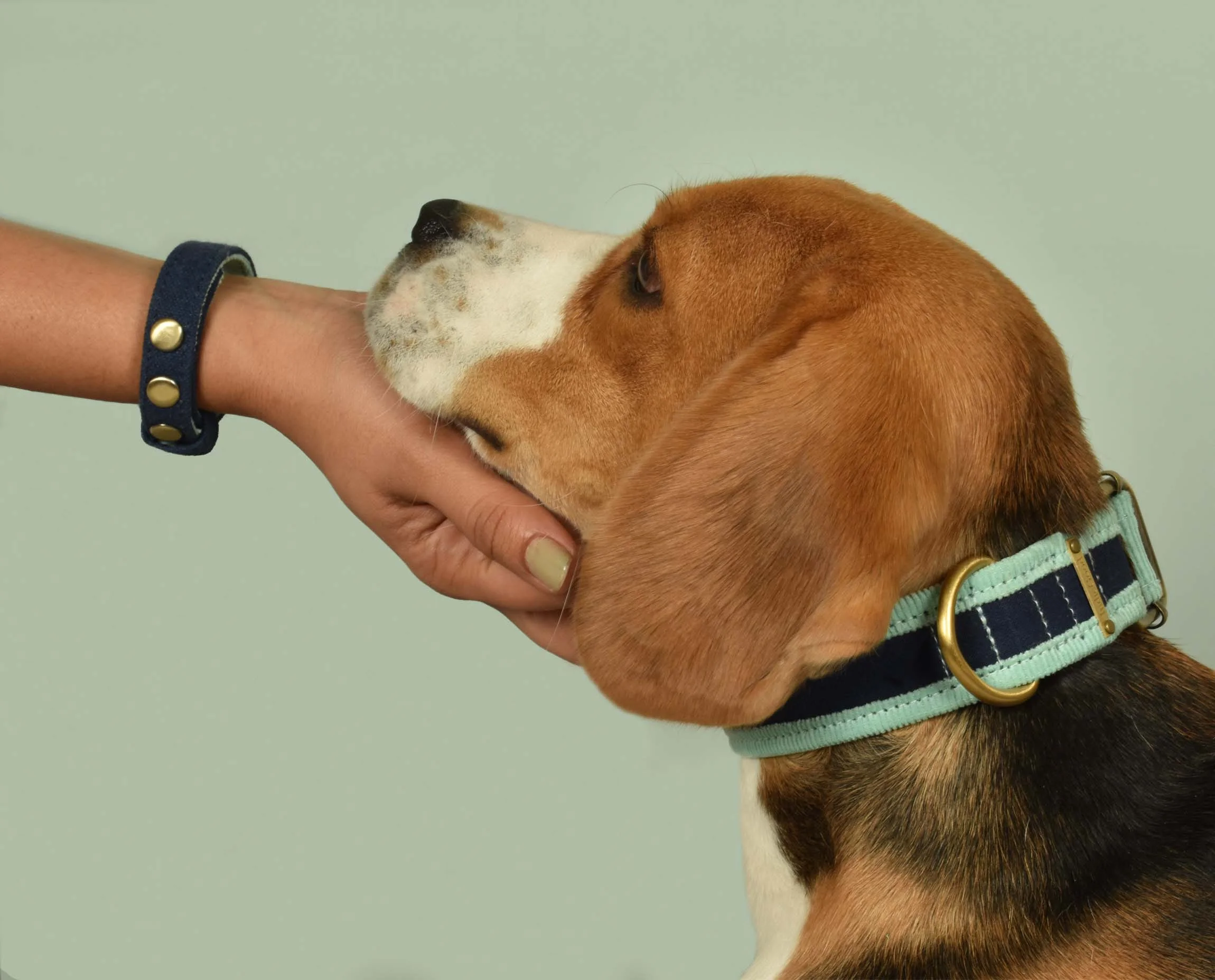 IndieGood-Matching-Set-Corduroy-Dog-Collar-with-Bond-Band-For-Human-Blue_2