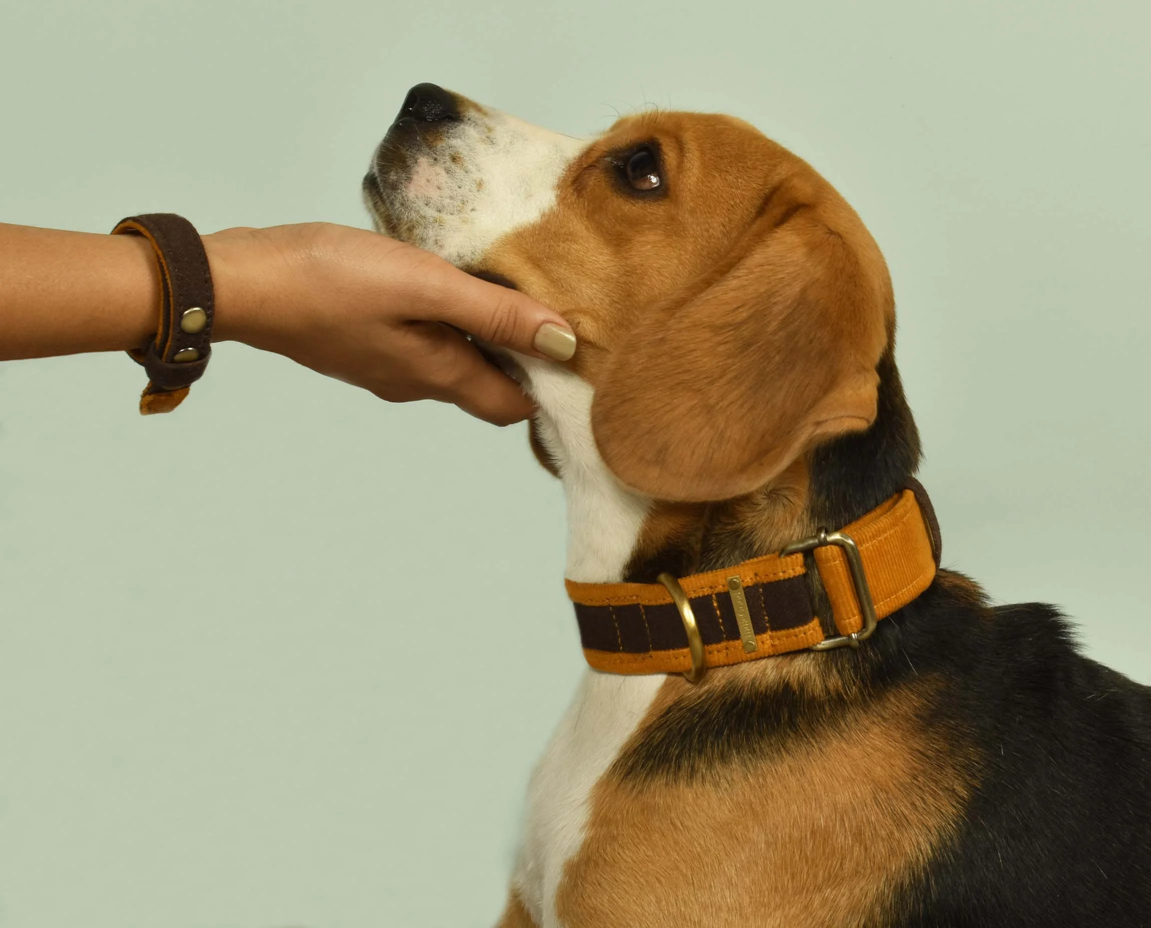 IndieGood-Matching-Set-Corduroy-Dog-Collar-with-Bond-Band-For-Human-Brown_1-1