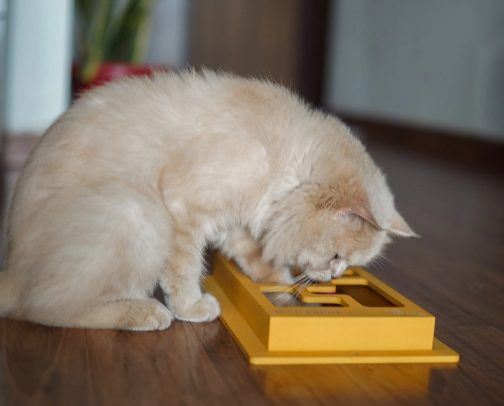 IndieGood Maze Toy For Cats_03
