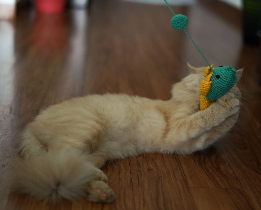 IndieGood Nemofish Wandtoy for Cats_03