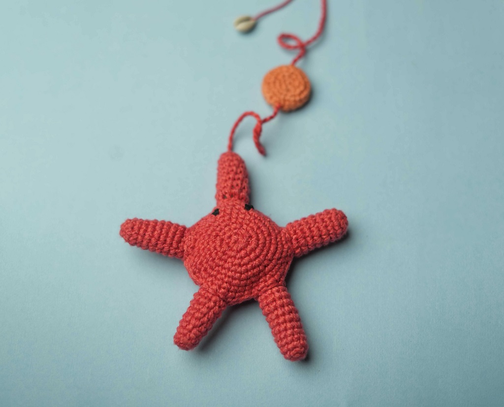 IndieGood Starfish Wandtoy for Cats_01