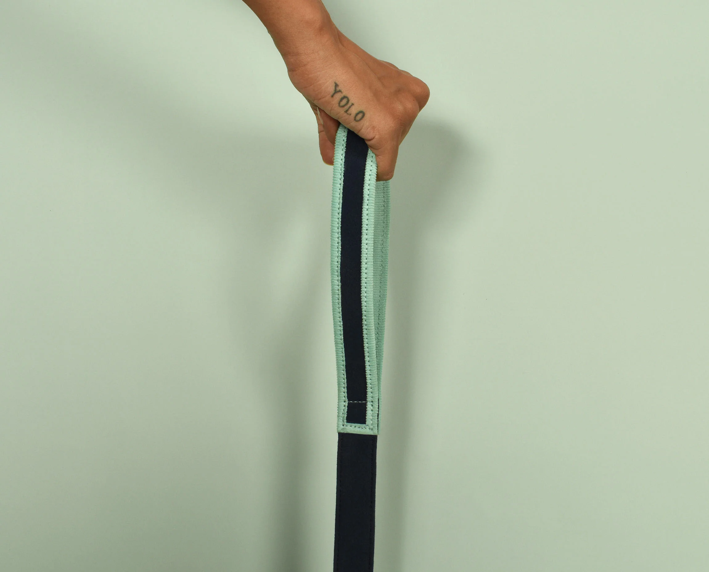 IndieGood-Sturdy-Canvas-Dog-Leash-Blue_2