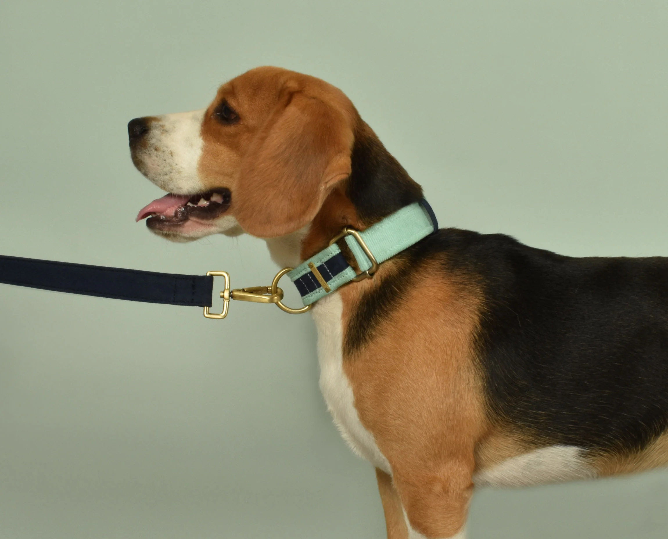 IndieGood-Sturdy-Canvas-Dog-Leash-Blue_4