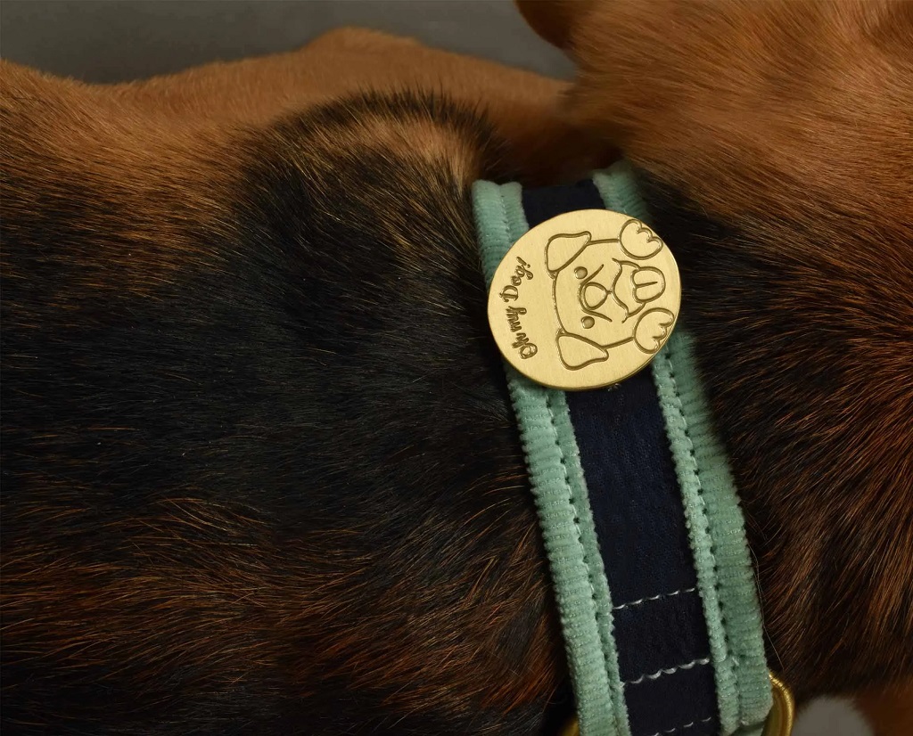 IndieGood-Style-Statement-Brass-Pin-OH-MY-DOG_3