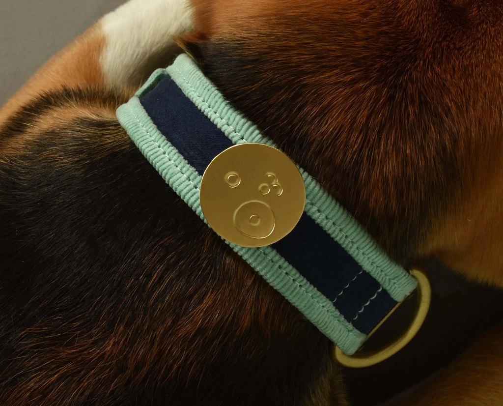 IndieGood-Style-Statement-Brass-Pin-Pawdorable-Pin_2
