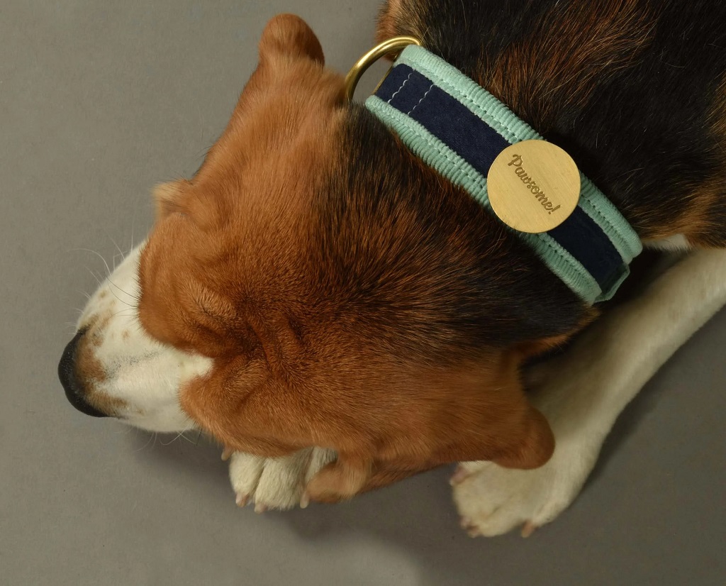 IndieGood-Style-Statement-Brass-Pin-Pawsome-Pin_2