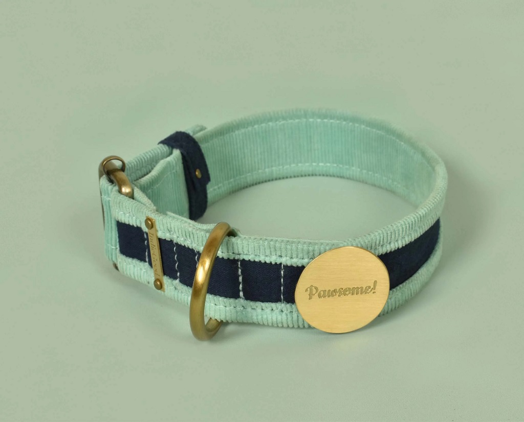 IndieGood-Style-Statement-Brass-Pin-Pawsome-Pin_3