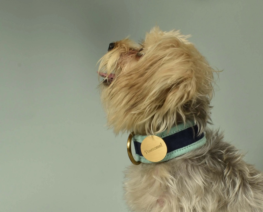 IndieGood-Style-Statement-Brass-Pin-Pawsome-Pin_4