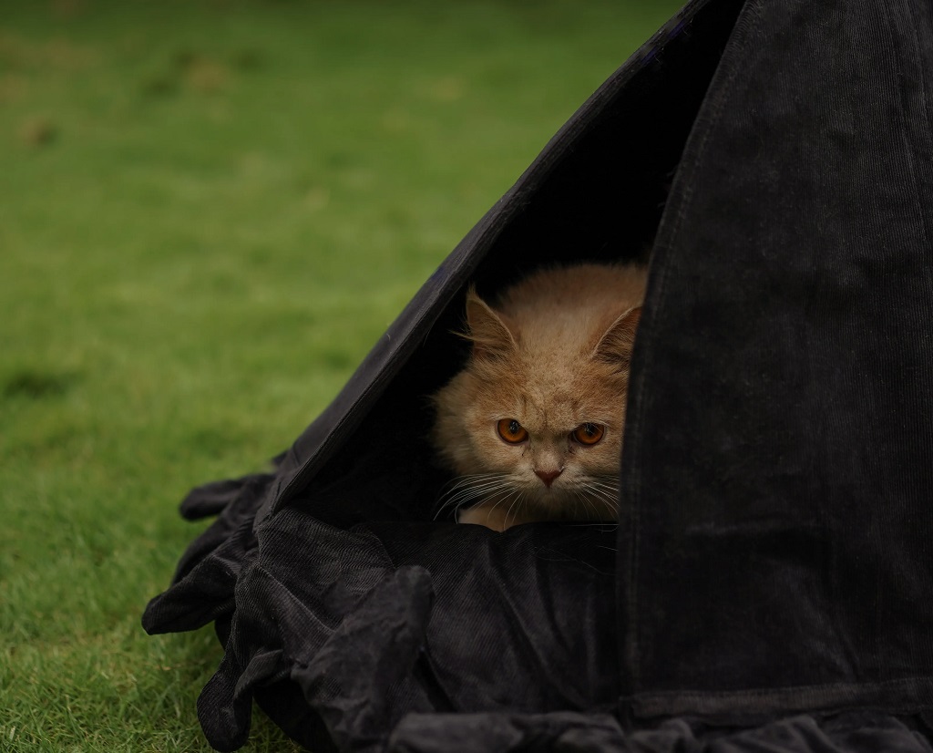 IndieGood cat Bedding Octy – Black_01