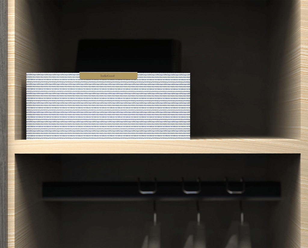 The Blue Stripe Organizer2