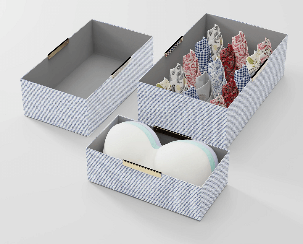 The Blue Stripe Organizer3