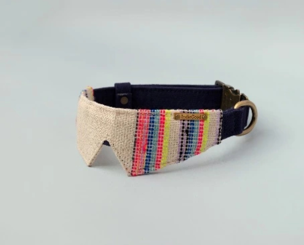 dog-playfull-collor